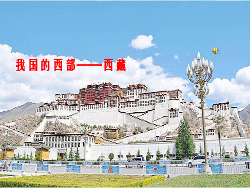 人教部编版九年级上册道德与法治名师课件：6.1 正视发展挑战(共30张PPT)