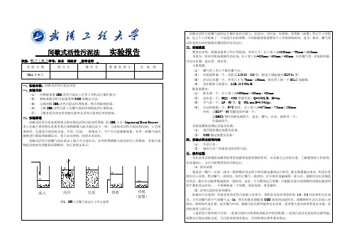 SBR活性污泥法实验报告