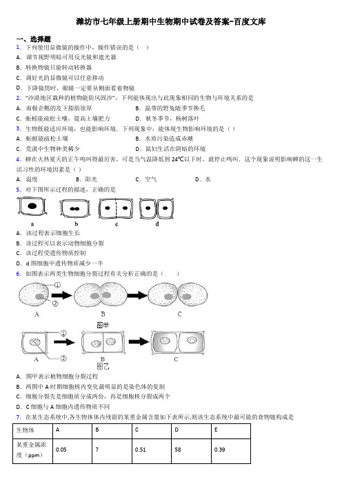潍坊市七年级上册期中生物期中试卷及答案-百度文库