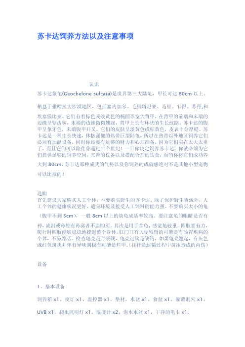 苏卡达饲养方法以及注意事项