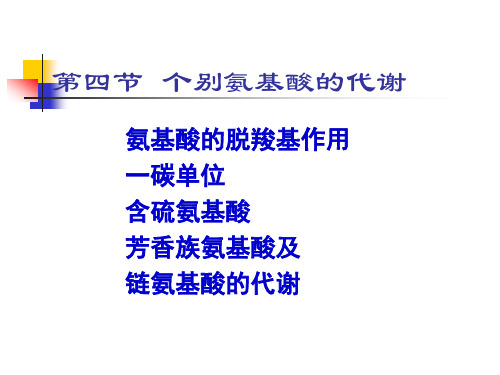 个别氨基酸的代谢