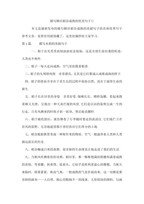 描写梯田稻谷成熟的优美句子