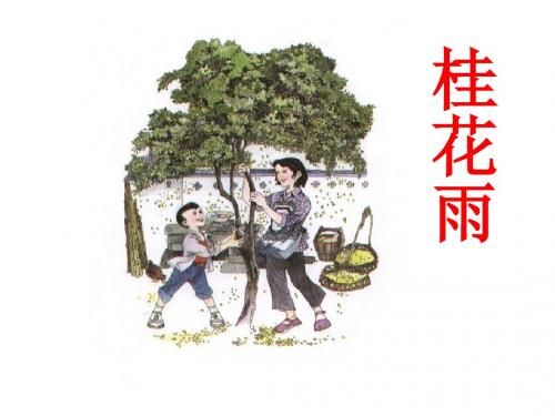 苏教版四年级上册《桂花雨》ppt课件2