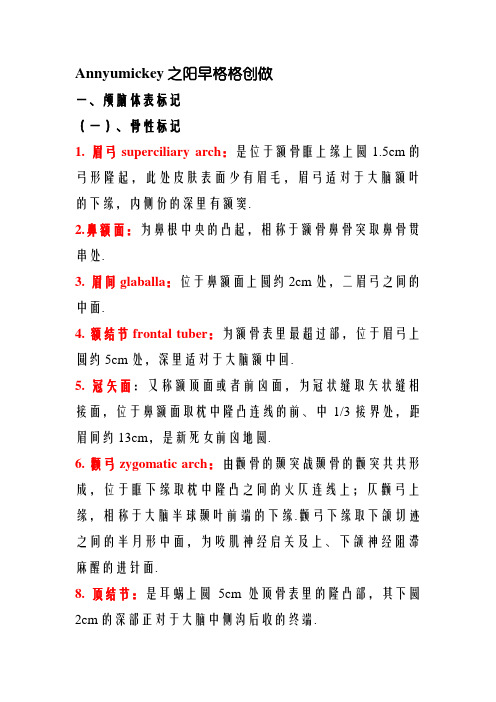颅脑体表标志