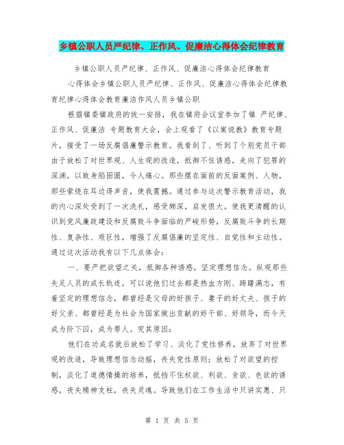 乡镇公职人员严纪律、正作风、促廉洁心得体会纪律教育