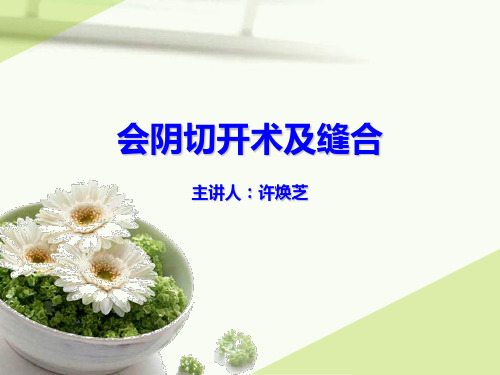 会阴切开术及缝合新的