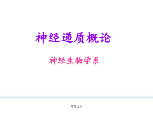 神经递质 ppt课件