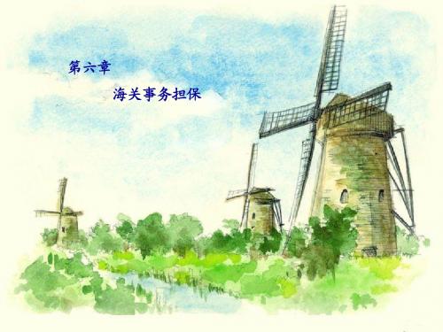 第六章_海关事务担保