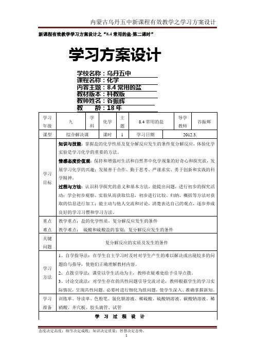 8.4常用的盐第二课时教案-谷振辉