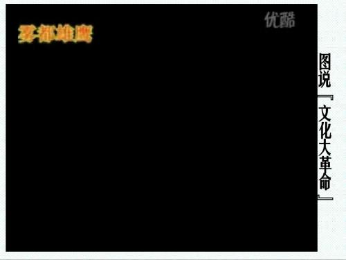 新人教版高中历史必修1第21课《民主政治的曲折发展》课件 精品