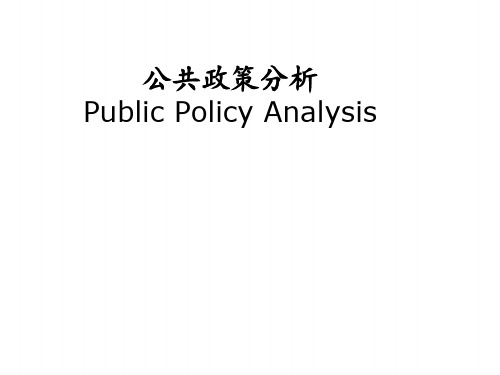 公共政策分析案例(公共交通)