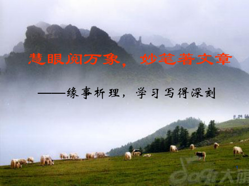 缘事析理-学习写得深刻PPT教学课件