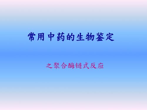 常用中药的生物鉴定-PCR