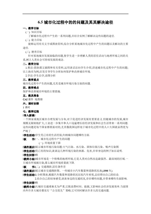 城市化问题教案