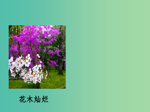二年级语文上册《迷人的秋色》课件3 沪教版