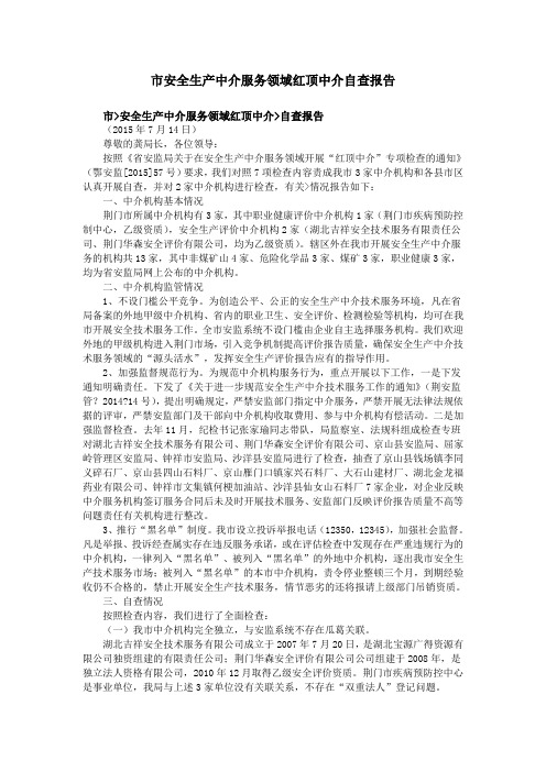 市安全生产中介服务领域红顶中介自查报告
