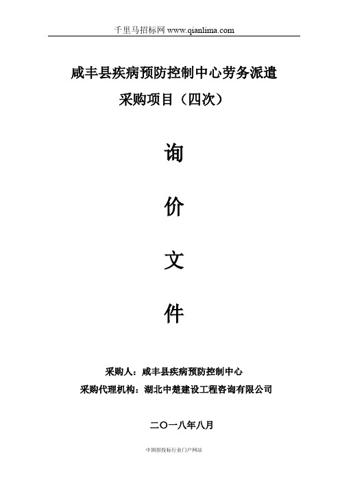 疾病预防控制中心劳务派遣采购项目询价招投标书范本