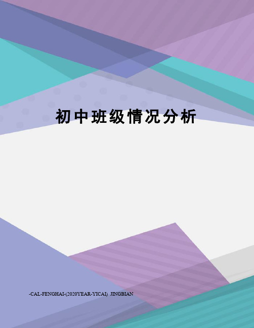 初中班级情况分析