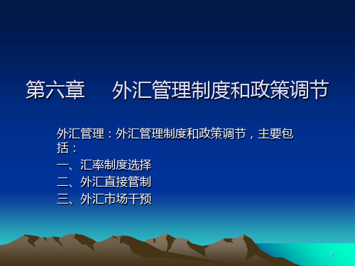 第六章外汇管理制度及政策调节PPT课件