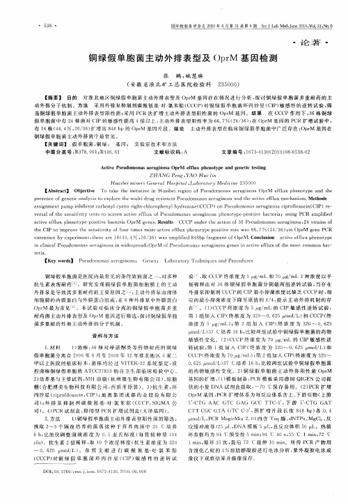 铜绿假单胞菌主动外排表型及OprM基因检测