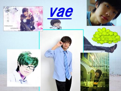介绍Vae的英文ppt