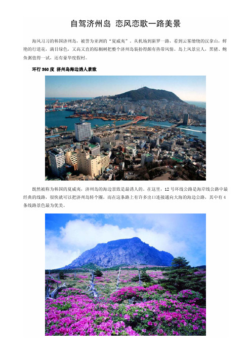 自驾济州岛 恋风恋歌一路美景