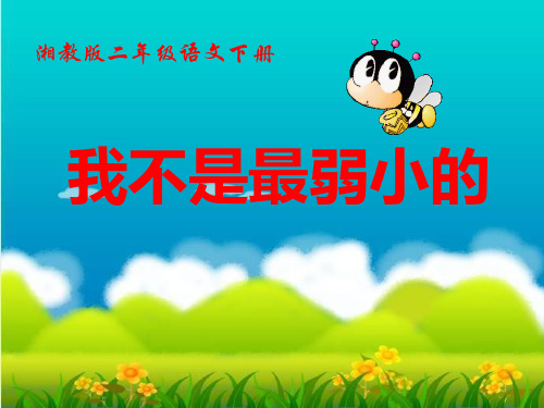 《我不是最弱小的》PPT课件十一