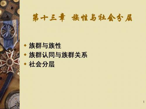 人类学概论第十三章 族性与社会分层_