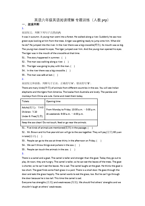 小学英语六年级英语阅读理解 专题训练(人教pep)