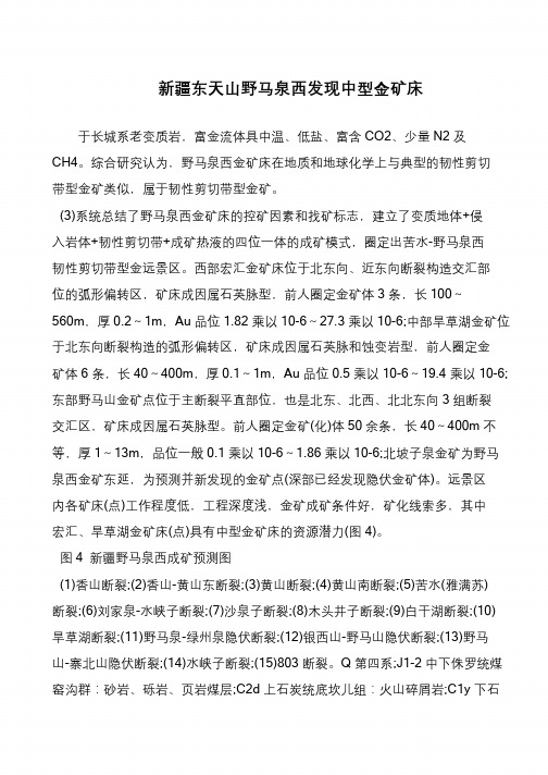 新疆东天山野马泉西发现中型金矿床
