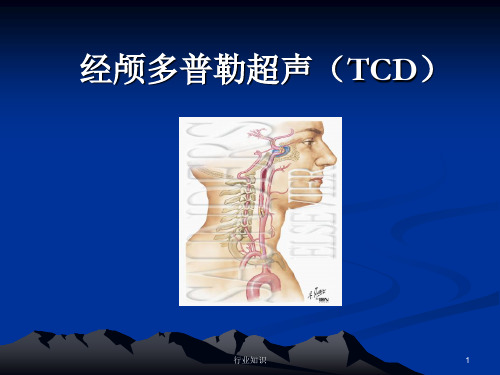 经颅多普勒(TCD)讲解[专家资料]