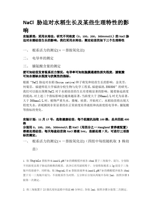 自主实验设计