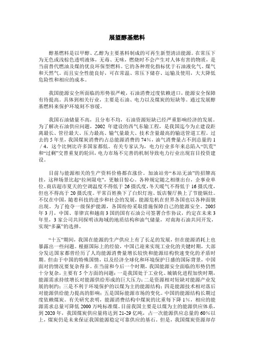 展望醇基燃料