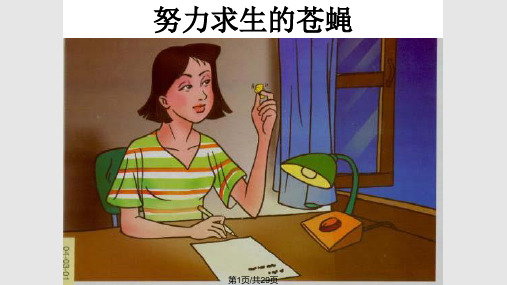 习作五六年级作文PPT课件