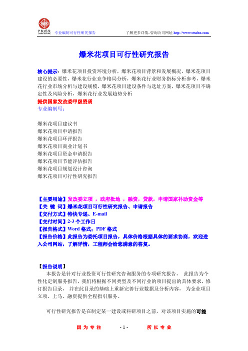 爆米花项目可行性研究报告
