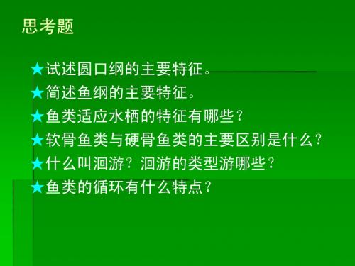 M脊索动物门(2)圆口纲、鱼纲