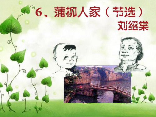 6蒲柳人家