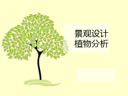 景观设计植物分析