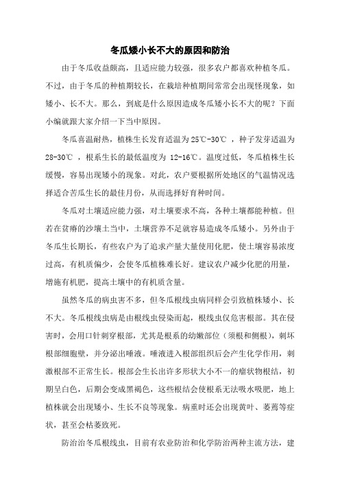 冬瓜矮小长不大的原因和防治