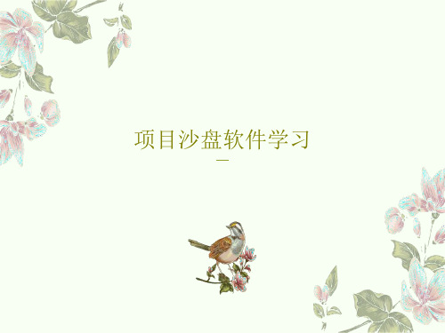 项目沙盘软件学习117页PPT