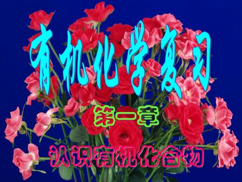 第一章认识有机化合物
