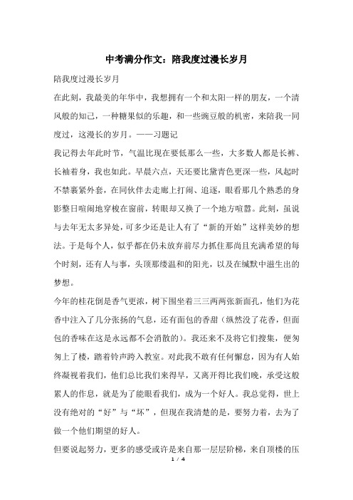 中考满分作文：陪我度过漫长岁月
