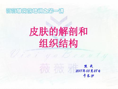 皮肤的解剖和组织结构