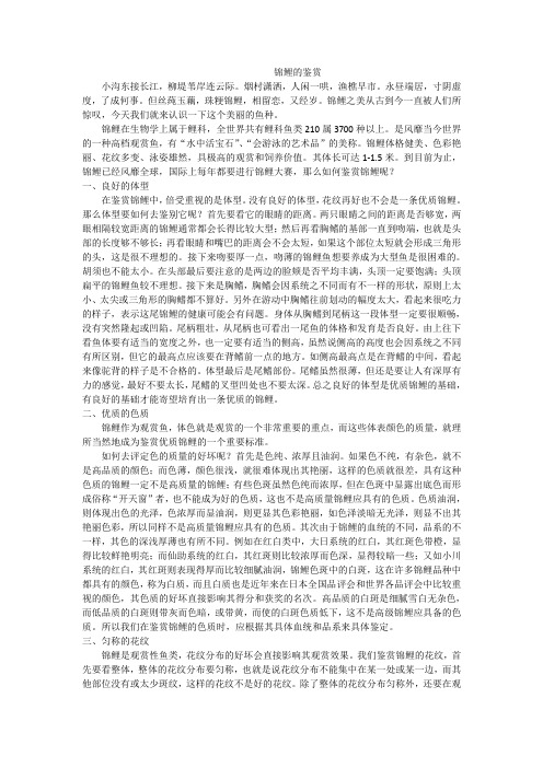 锦鲤的鉴赏