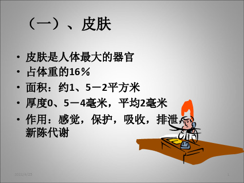 美容行业皮肤的专业知识-文档资料