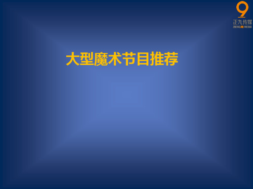 大型魔术表演节目推荐