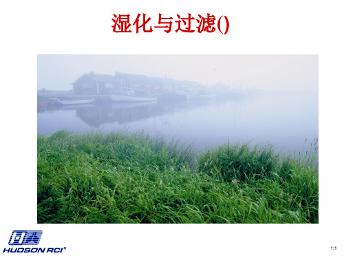 湿化与过滤(人工鼻) ppt课件