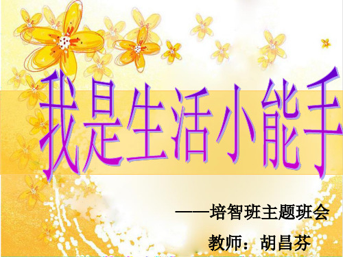 我是生活小能手班会