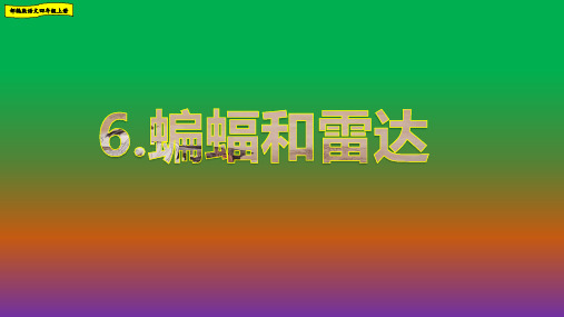 蝙蝠和雷达课件