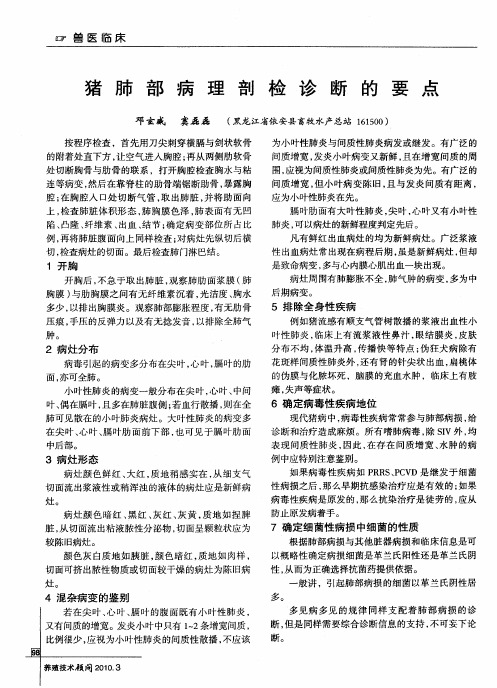 猪肺部病理剖检诊断的要点